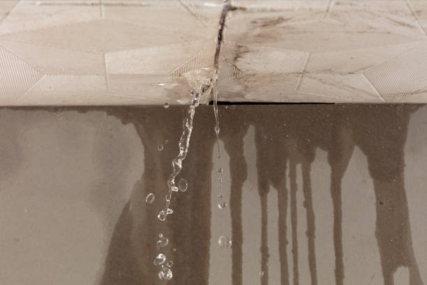 Professional Water Extraction technician working in Caddo Mills, TX